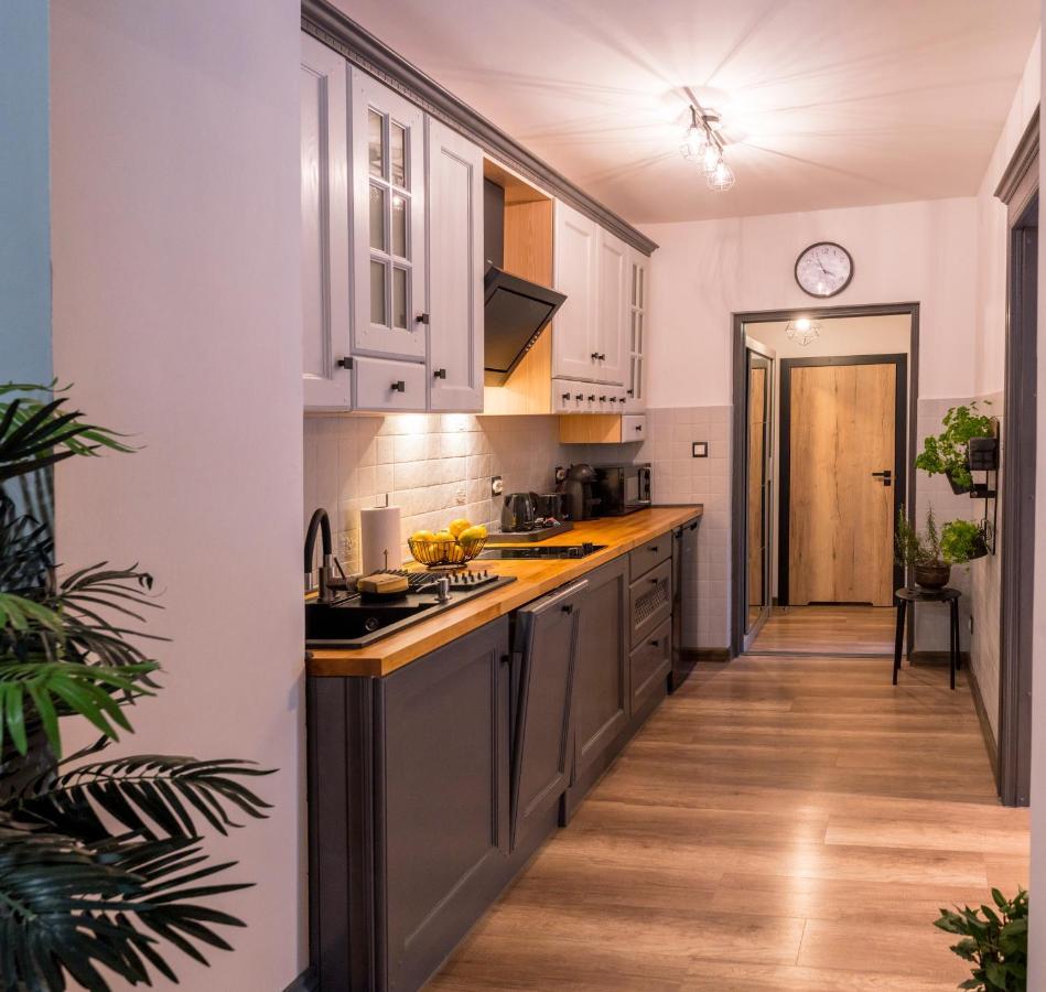 Apartament Podcienie Z Tarasem Bielsko-Biala Old Town Eksteriør billede