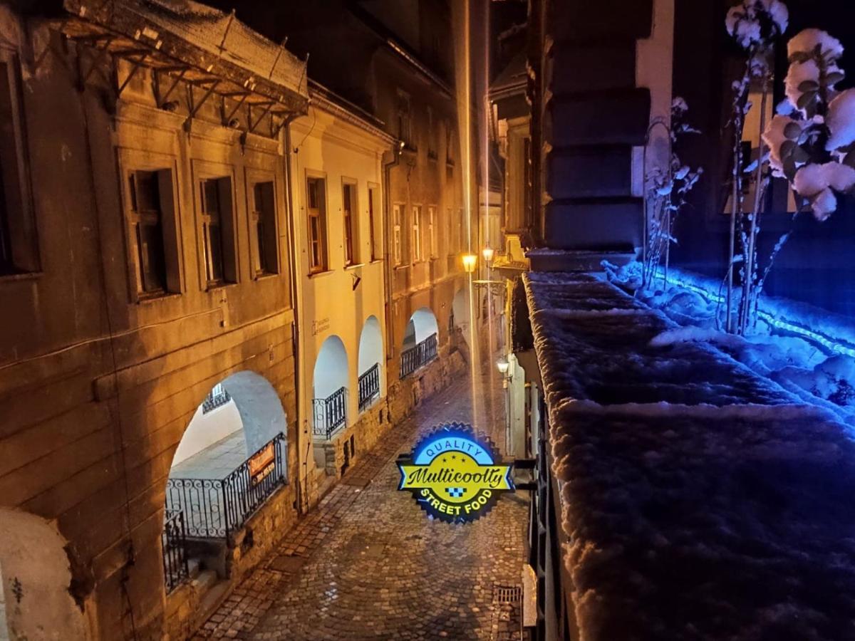 Apartament Podcienie Z Tarasem Bielsko-Biala Old Town Eksteriør billede