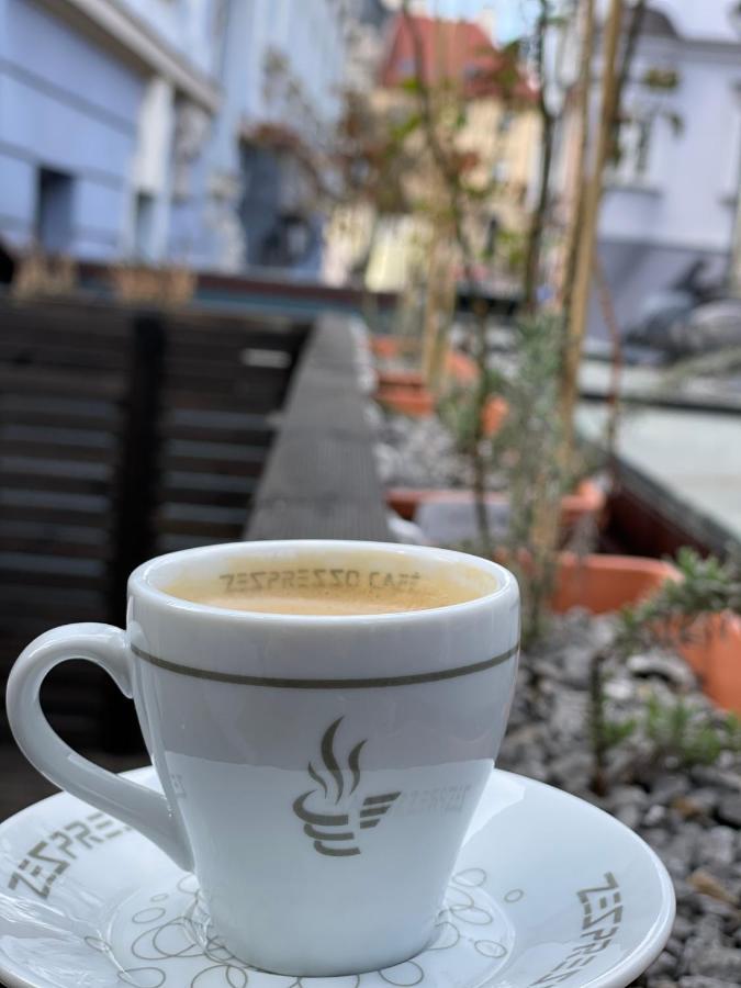 Apartament Podcienie Z Tarasem Bielsko-Biala Old Town Eksteriør billede
