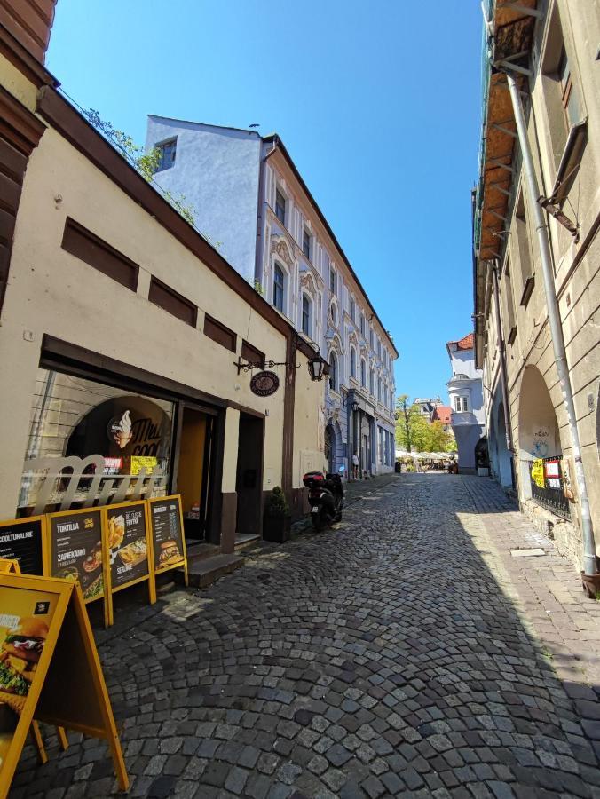 Apartament Podcienie Z Tarasem Bielsko-Biala Old Town Eksteriør billede